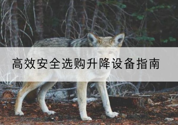 陇川升降货梯厂家推荐-*安全选购升降设备指南