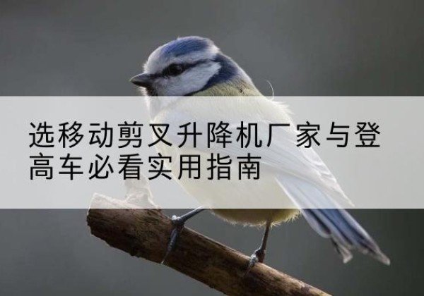 陇川电动升降机厂家-选移动剪叉升降机厂家与登高车必看实用指南